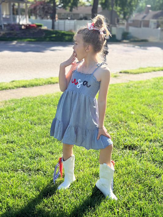 USA Chambray Dress