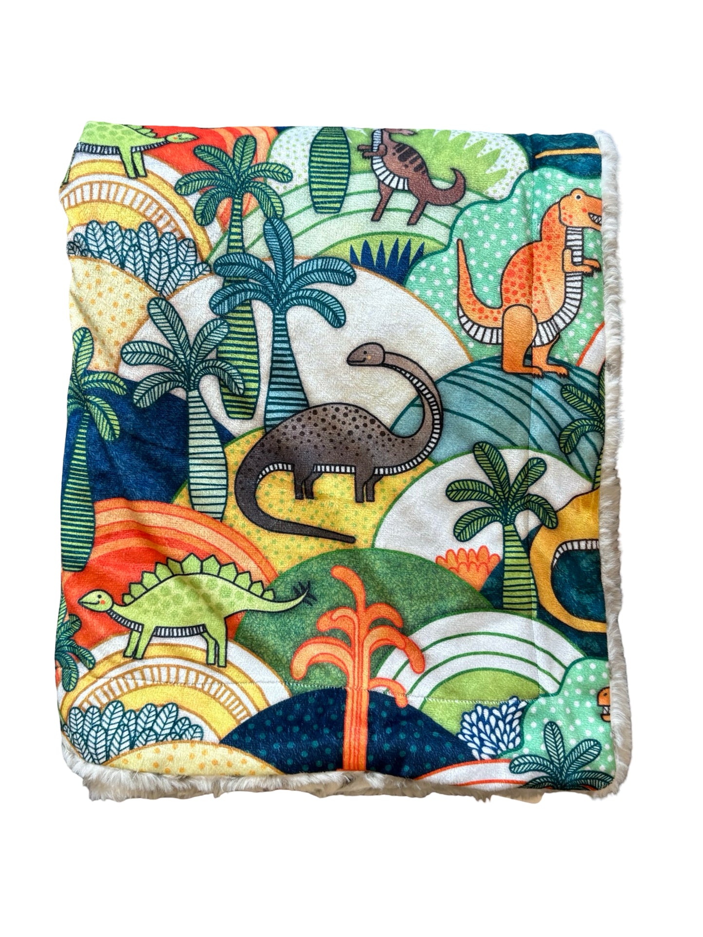 Dino Blanket