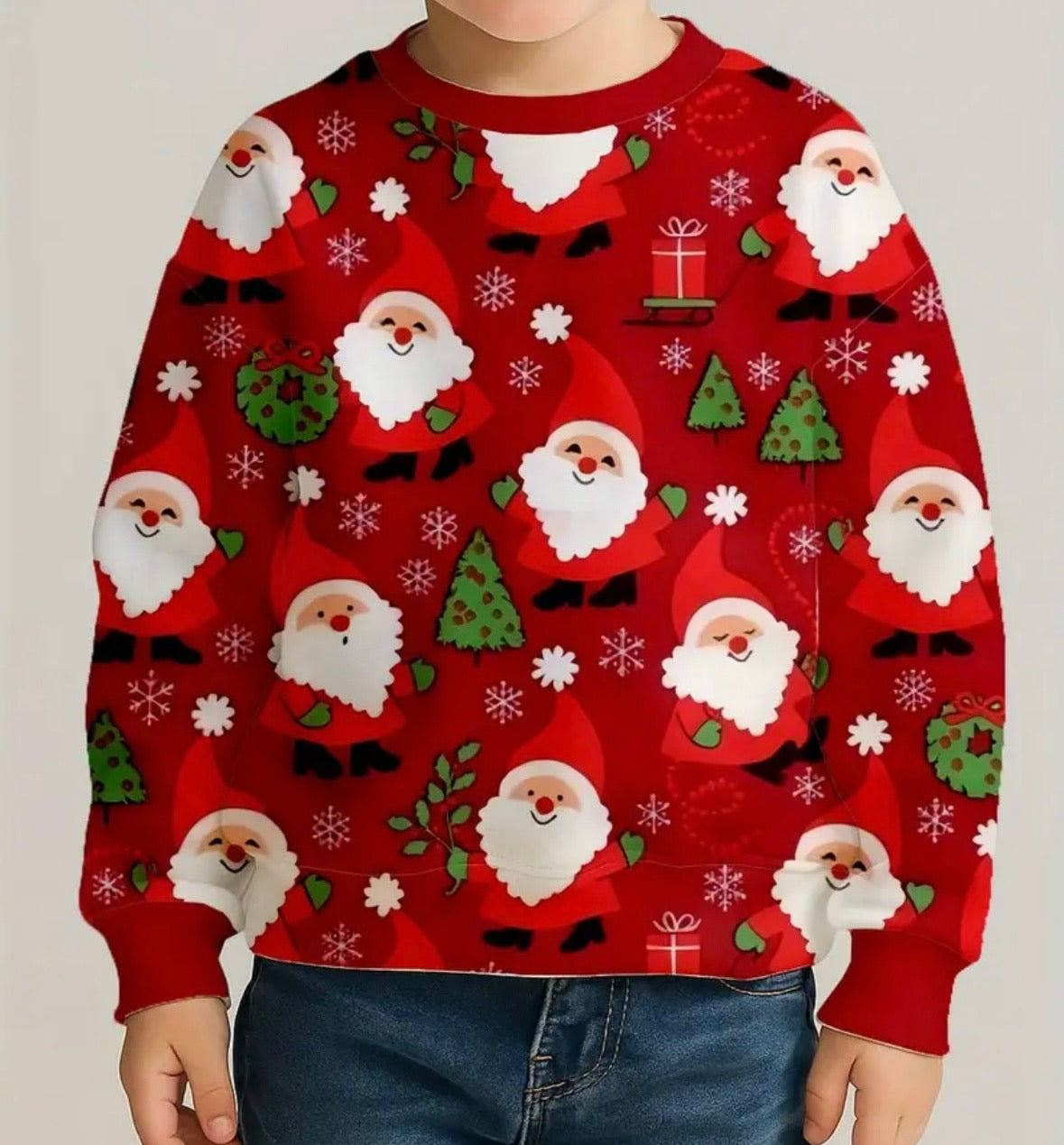 Santa Sweatshirt