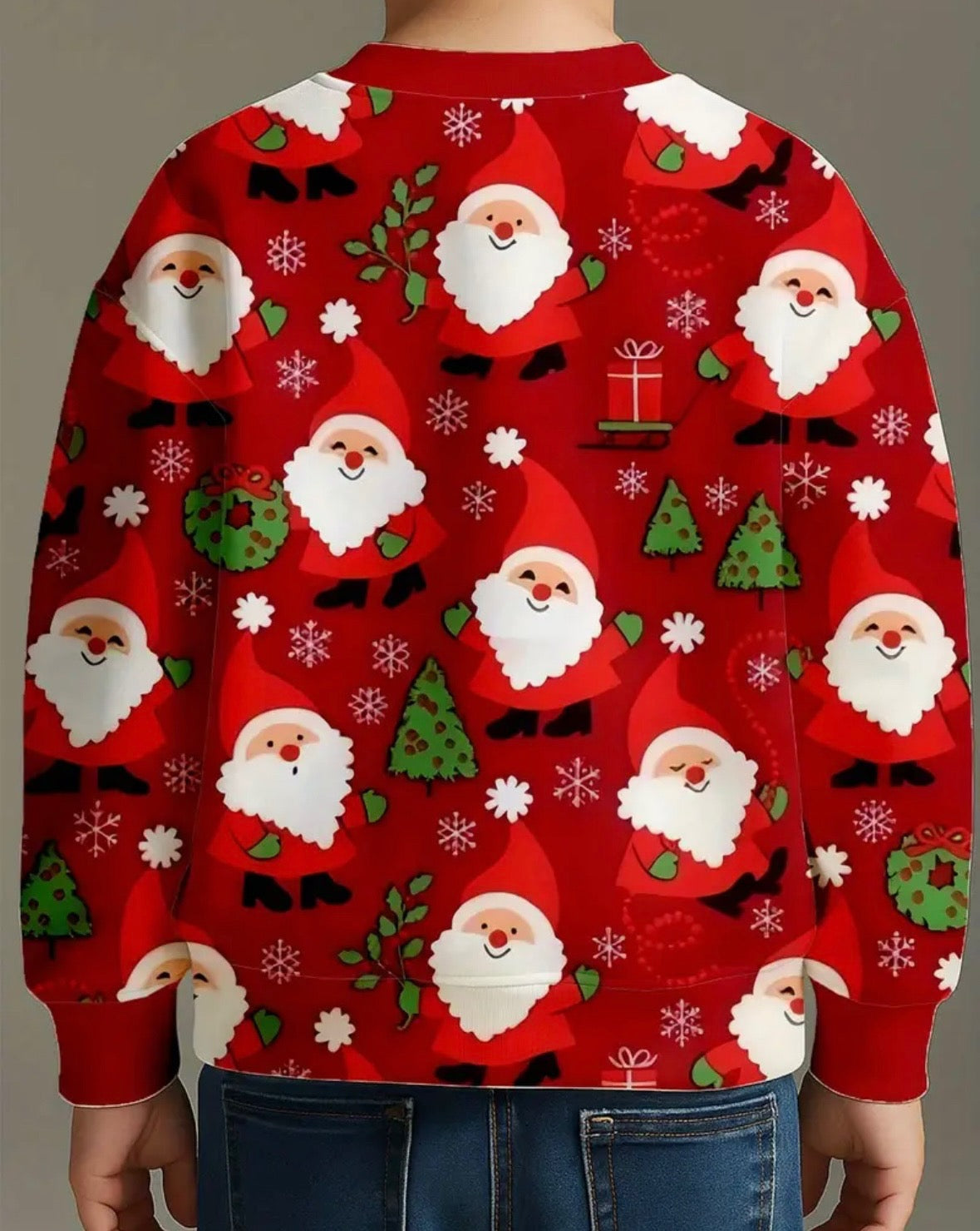 Santa Sweatshirt
