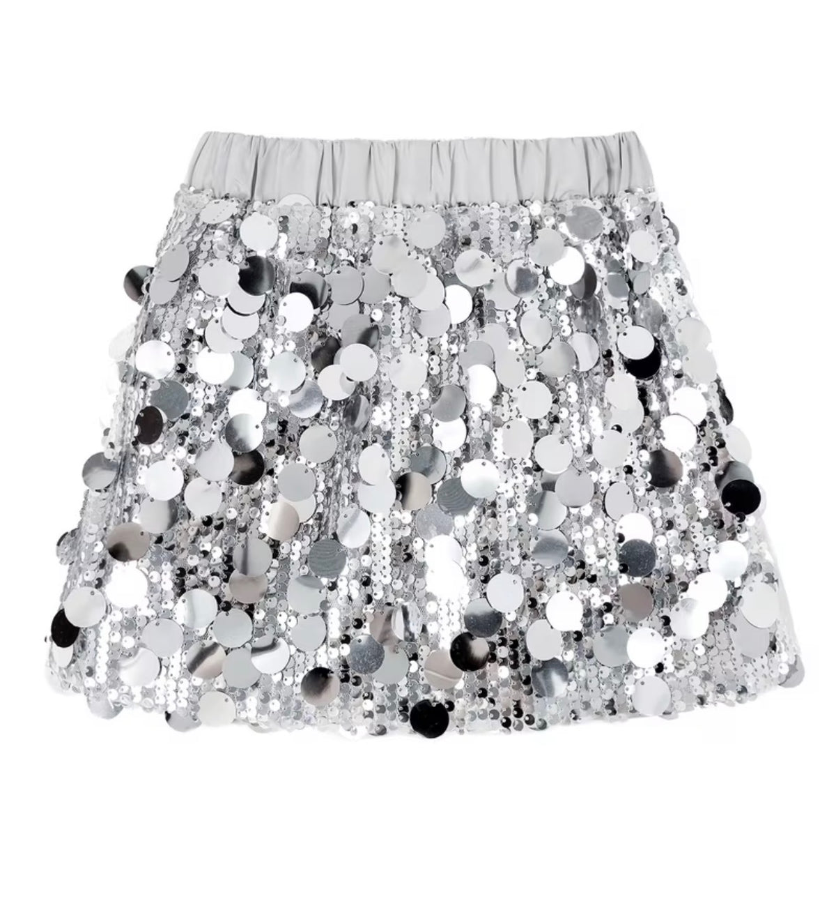 Silver Sequin Skirt
